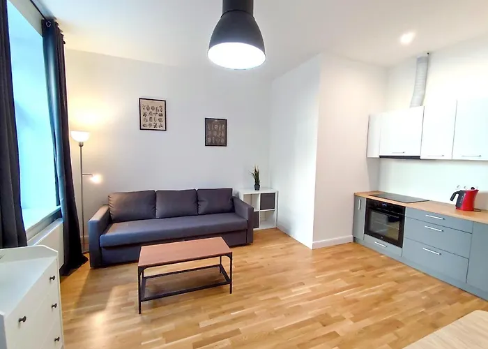 Lacplesa Cozy * Riga