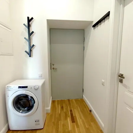 公寓 Lacplesa Cozy 里加